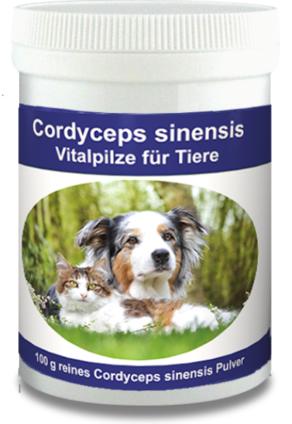 Cordyceps für Tiere